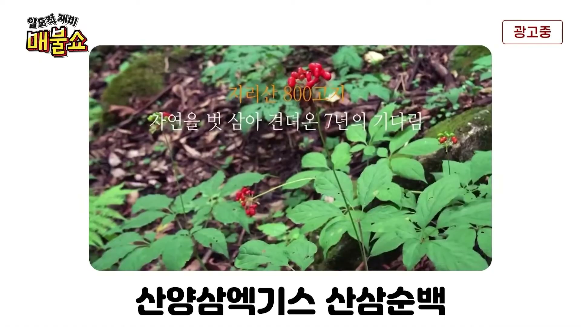 Snapshot at 8621.77s