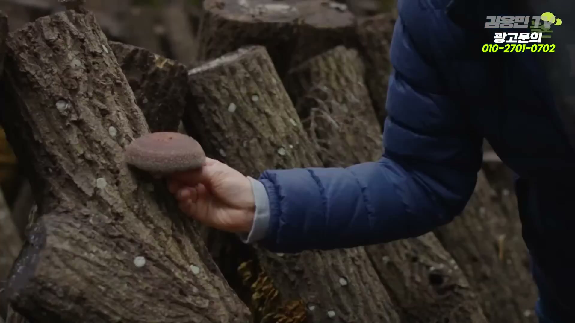 Snapshot at 2000.45s