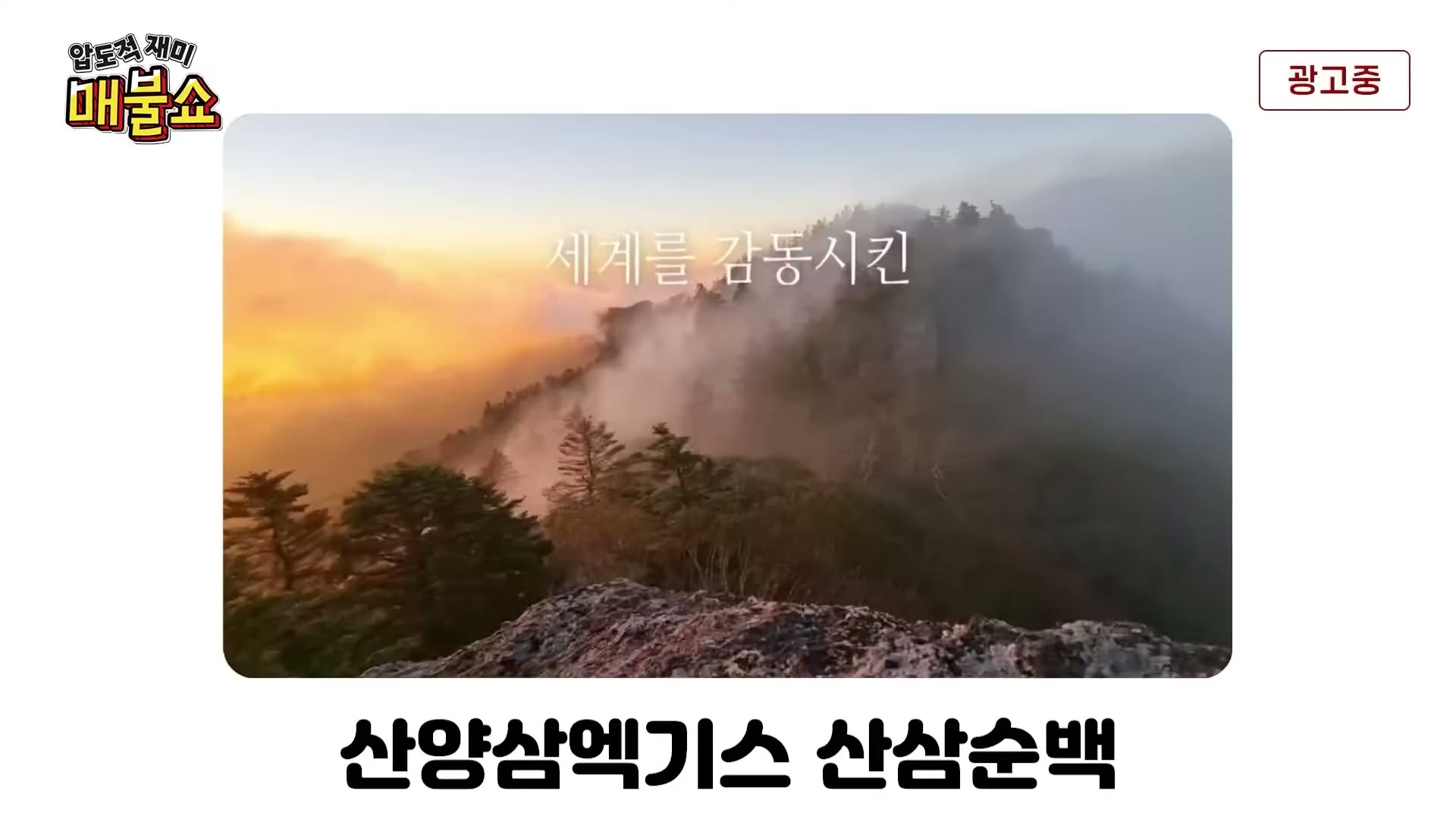 Snapshot at 8436.27s