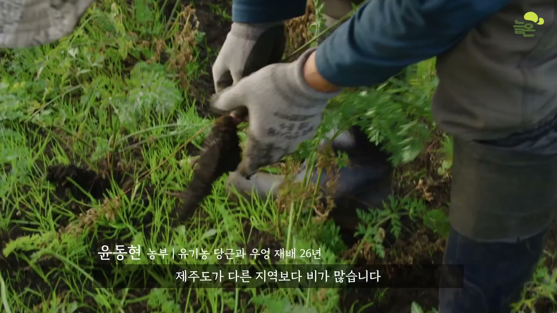 Snapshot at 4649.11s