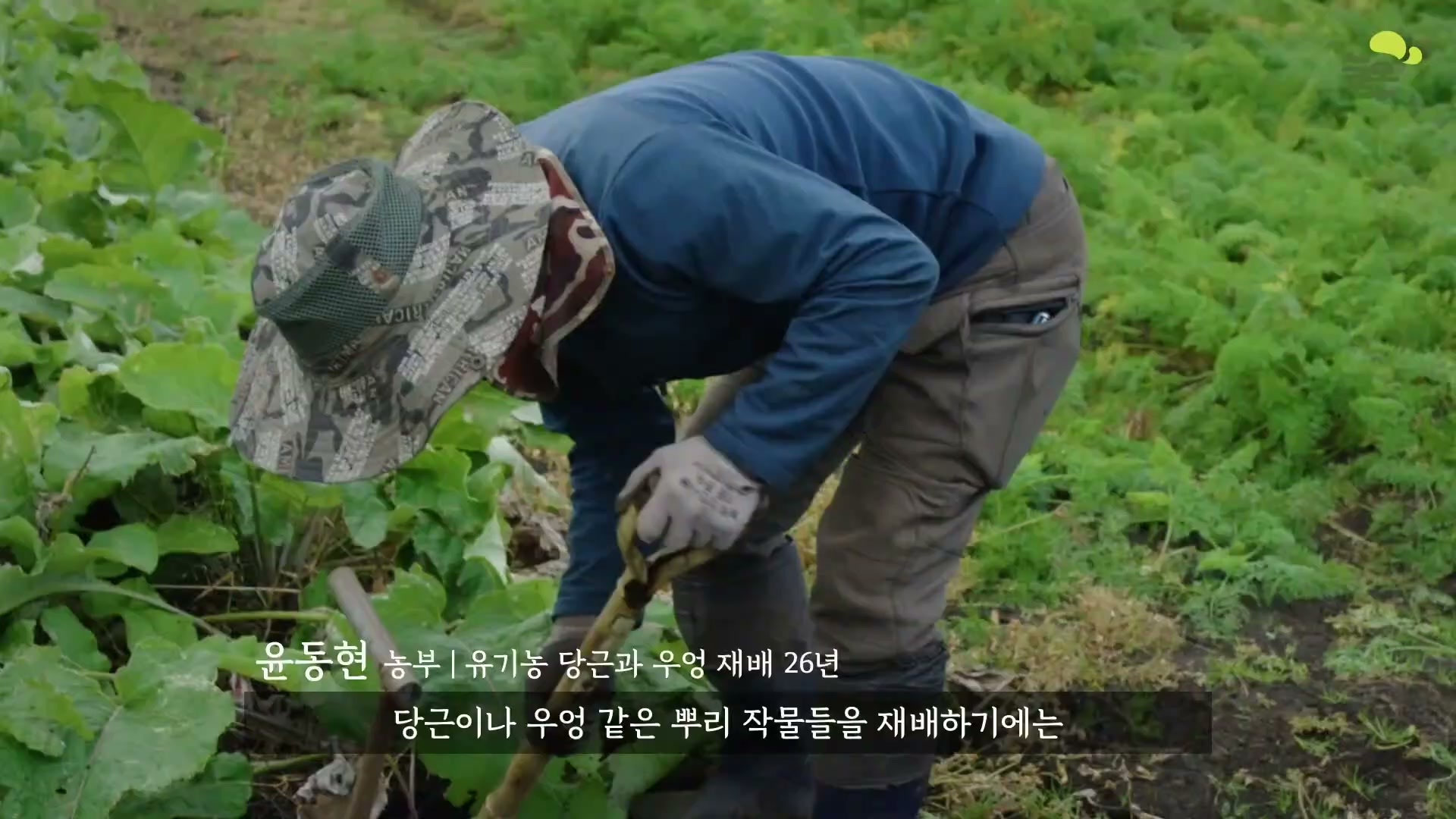 Snapshot at 4653.18s