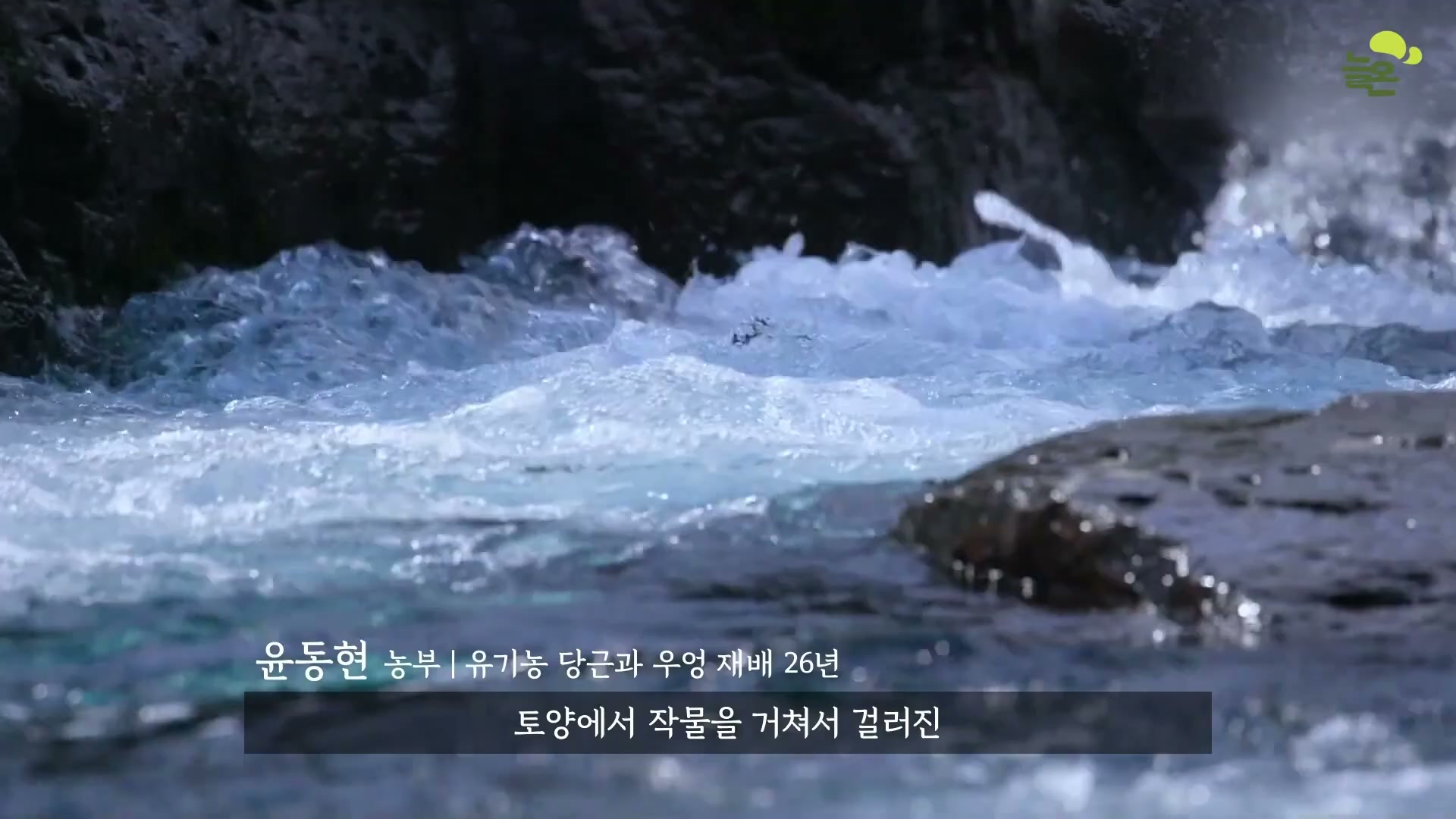 Snapshot at 4658.29s