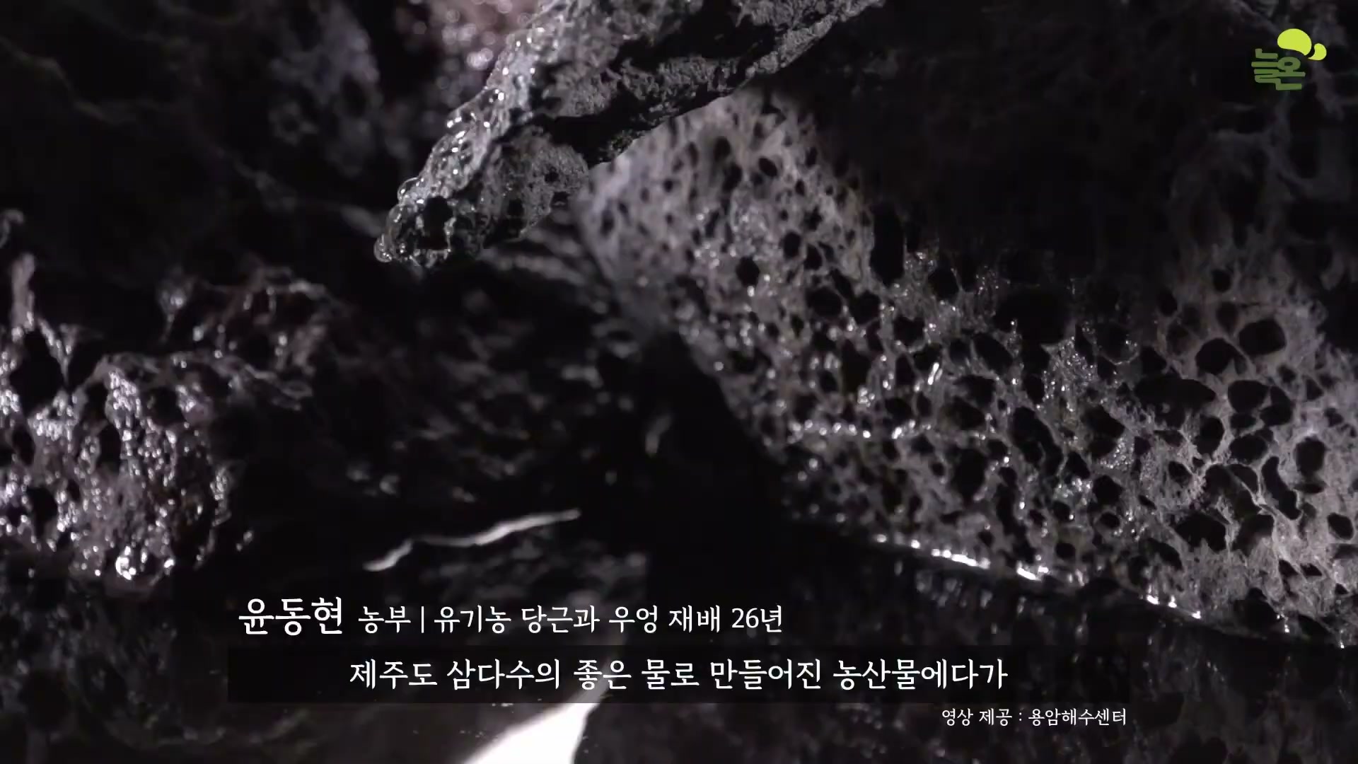 Snapshot at 4663.03s