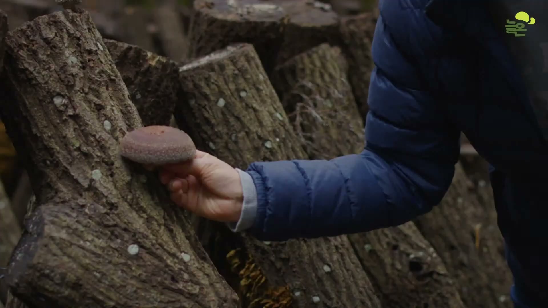 Snapshot at 4690.95s