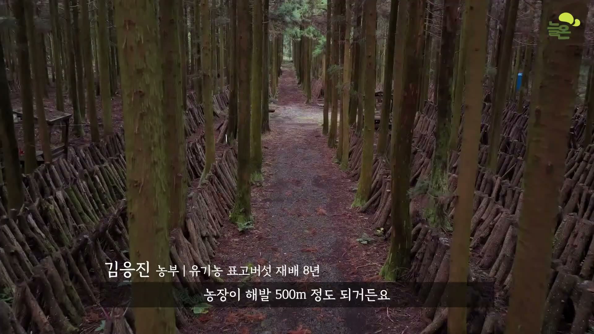 Snapshot at 4701.23s