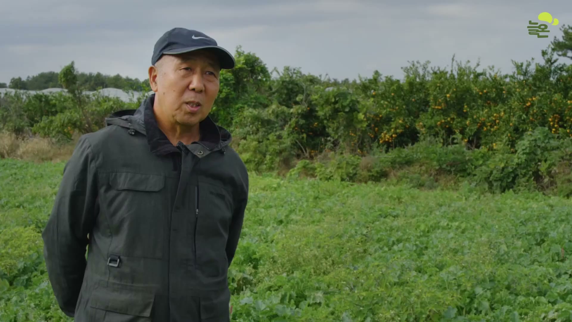 Snapshot at 4713.68s