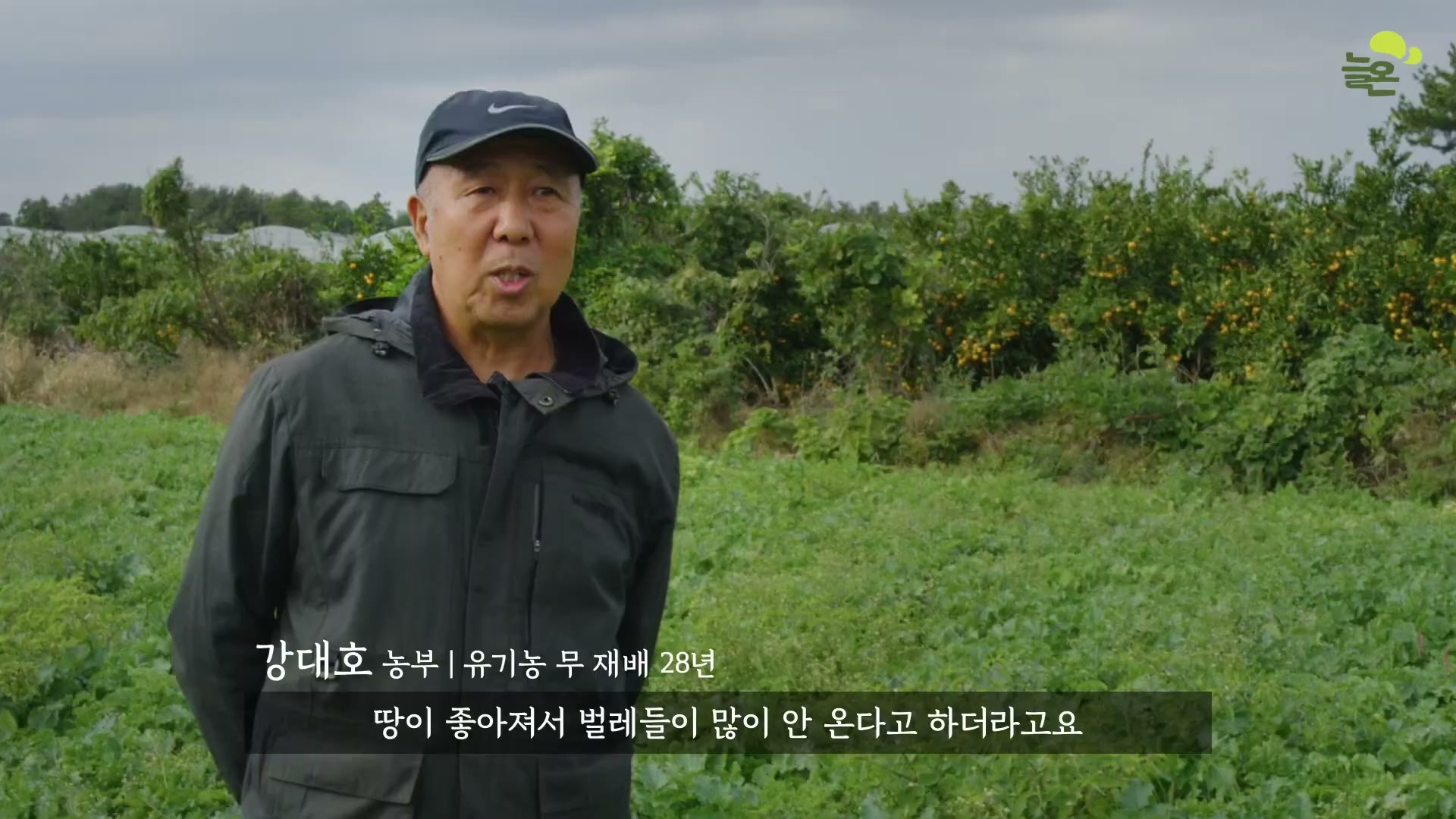 Snapshot at 4729.52s