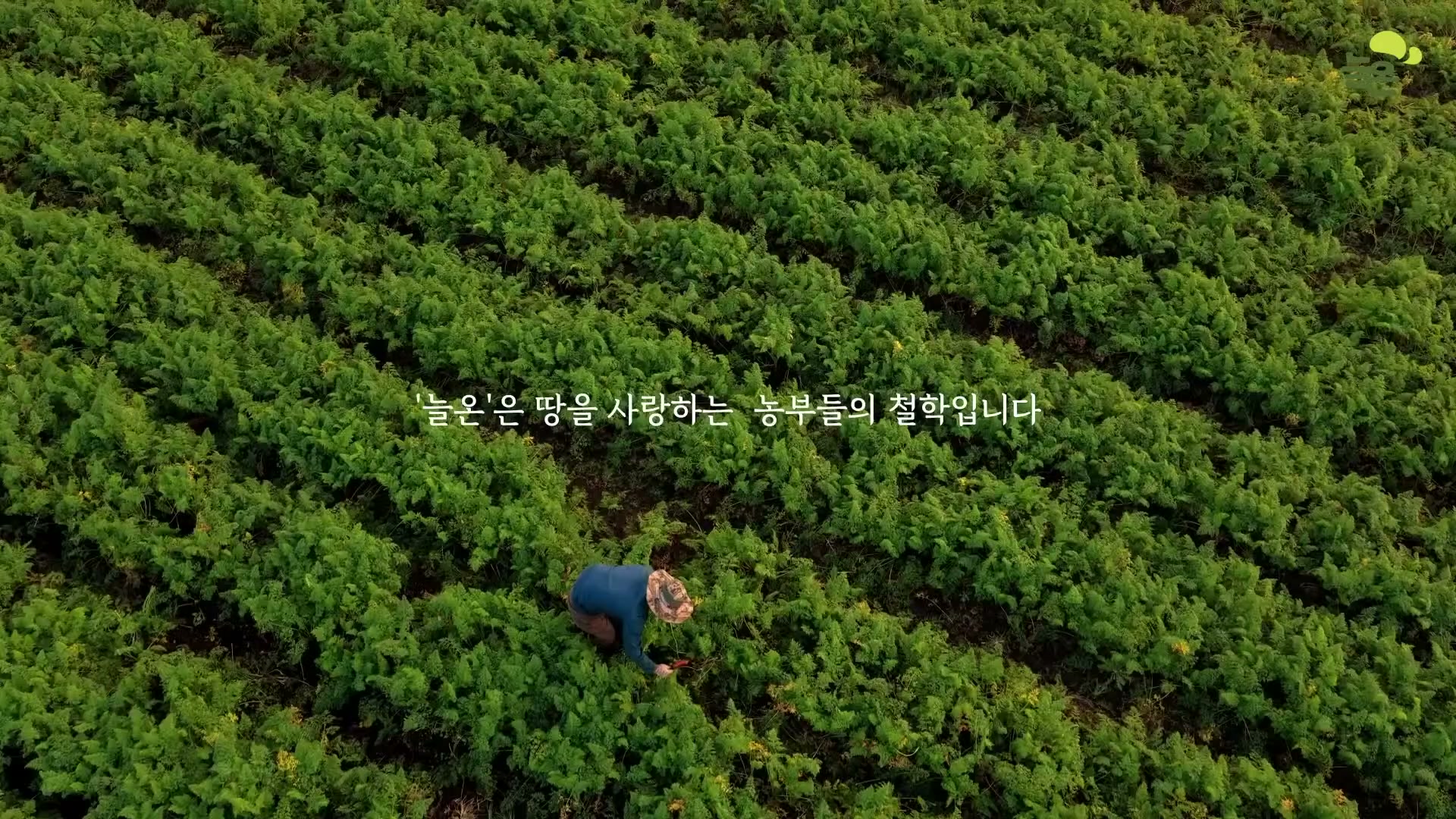 Snapshot at 4740.97s