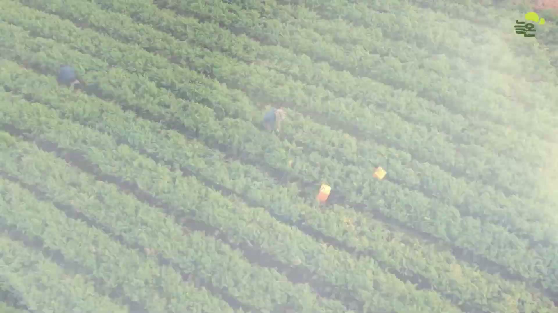 Snapshot at 4747.64s