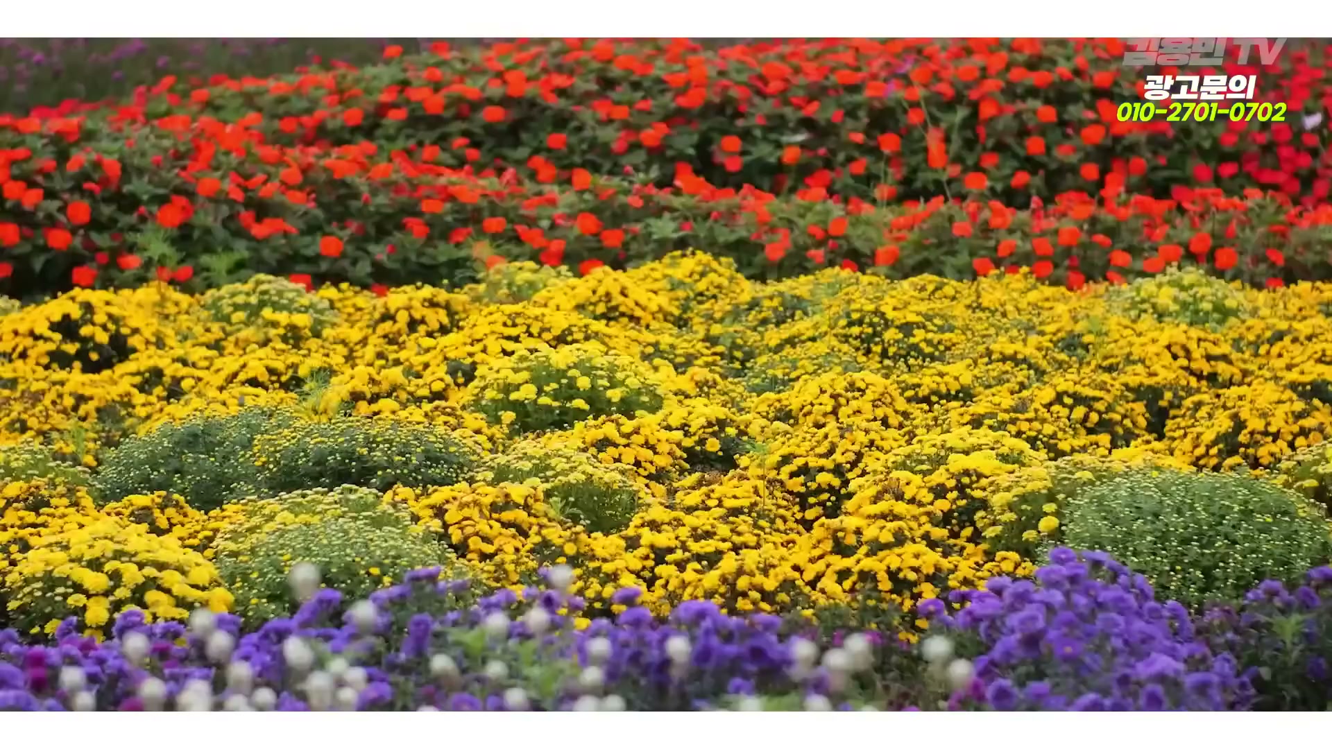 Snapshot at 6285.43s