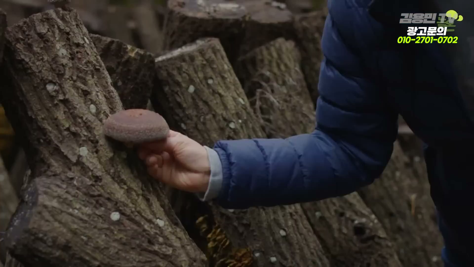 Snapshot at 7019.68s