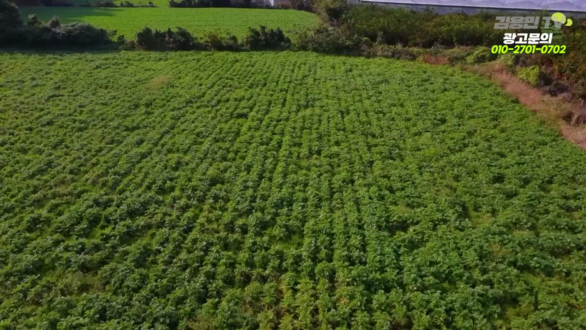 Snapshot at 7026.65s