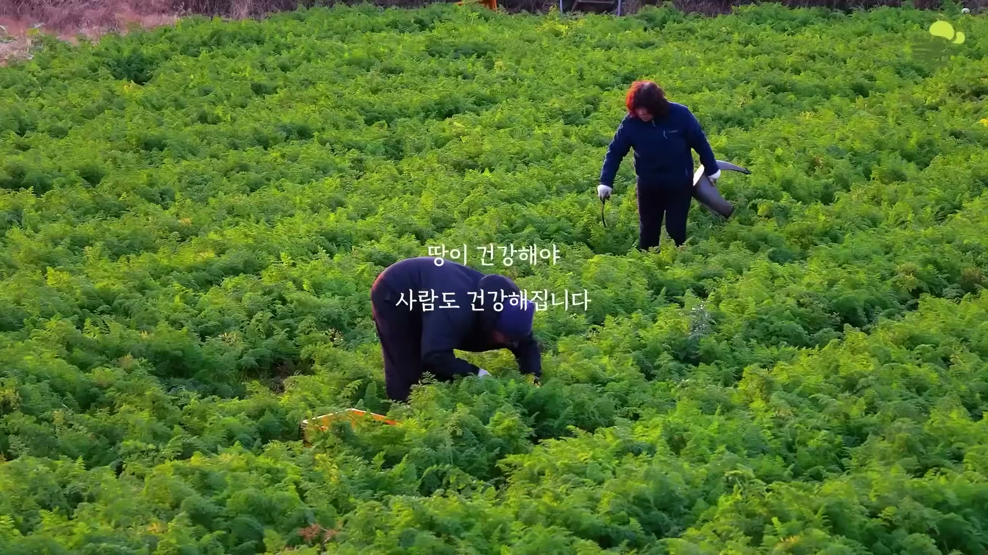 Snapshot at 4011.47s