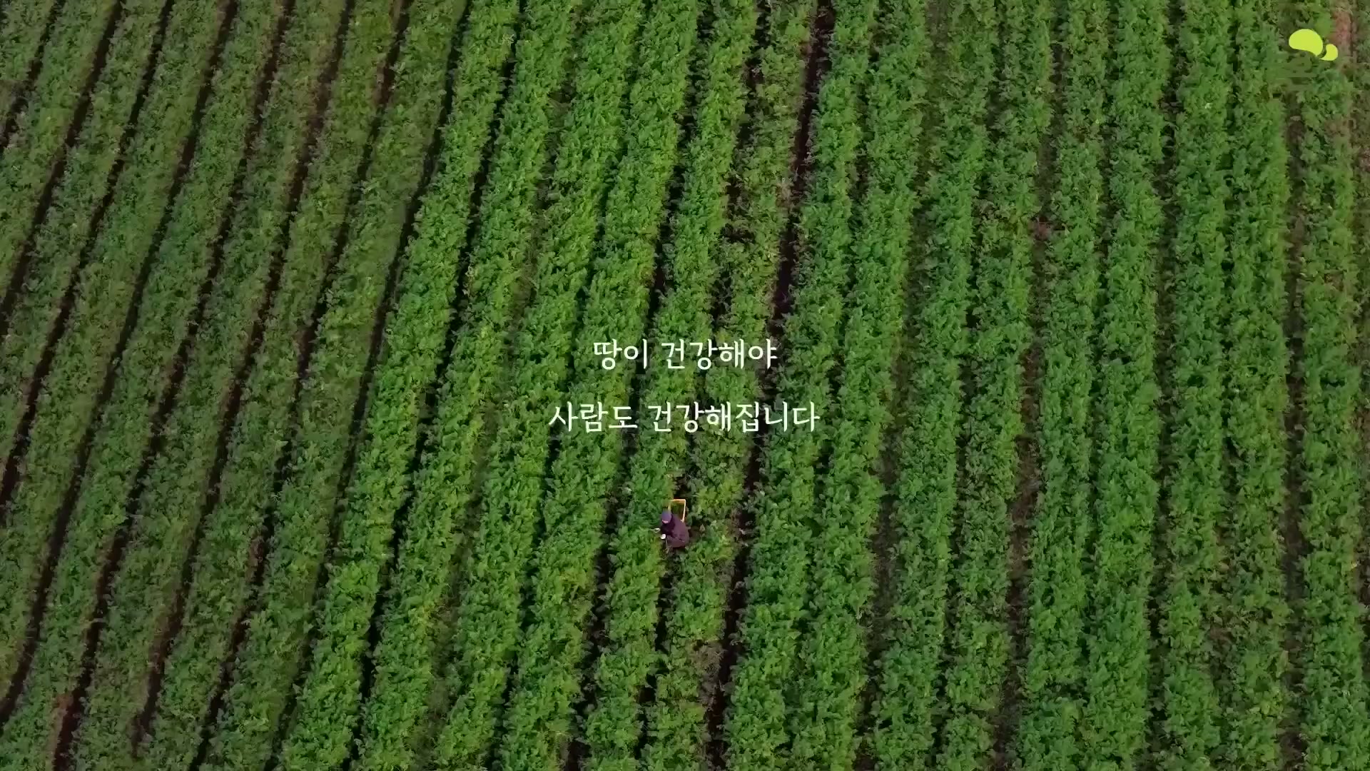 Snapshot at 4013.91s