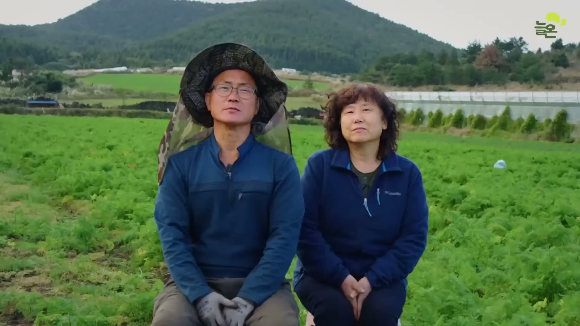 Snapshot at 4017.21s