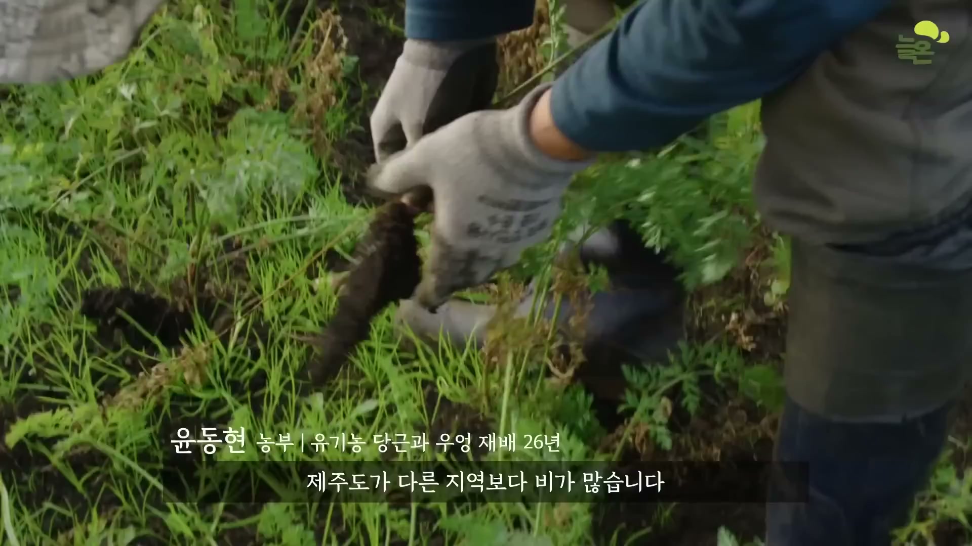 Snapshot at 4023.29s