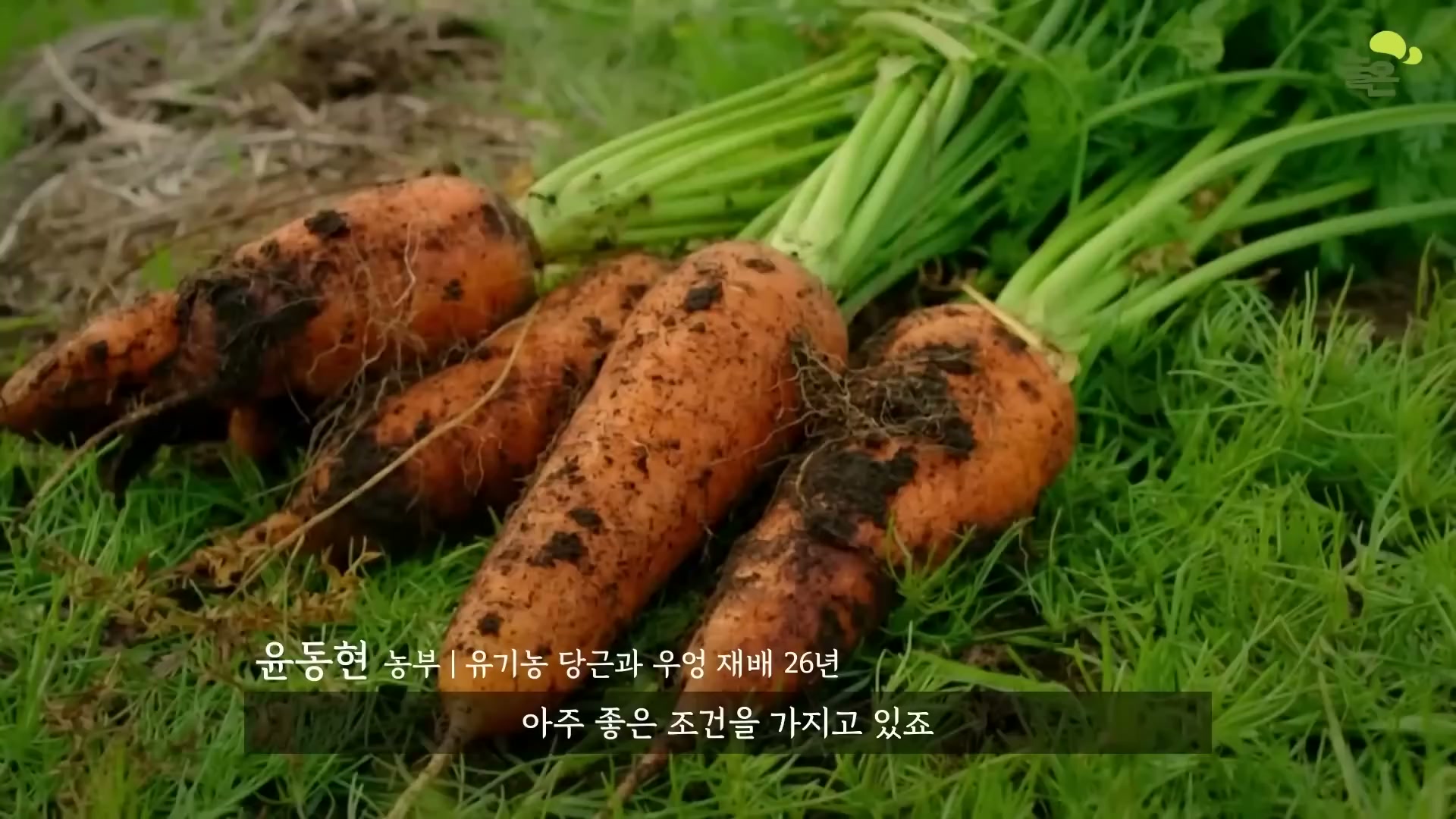 Snapshot at 4029.63s