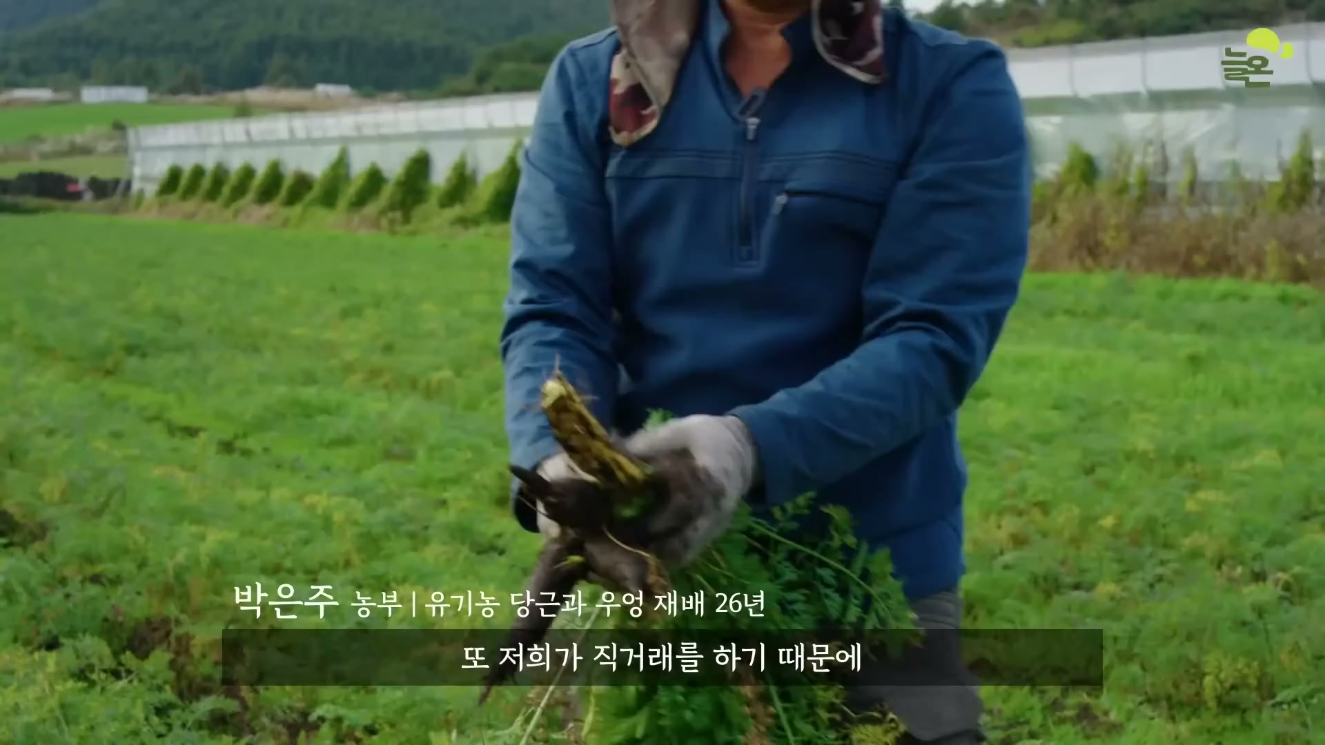 Snapshot at 4058.69s