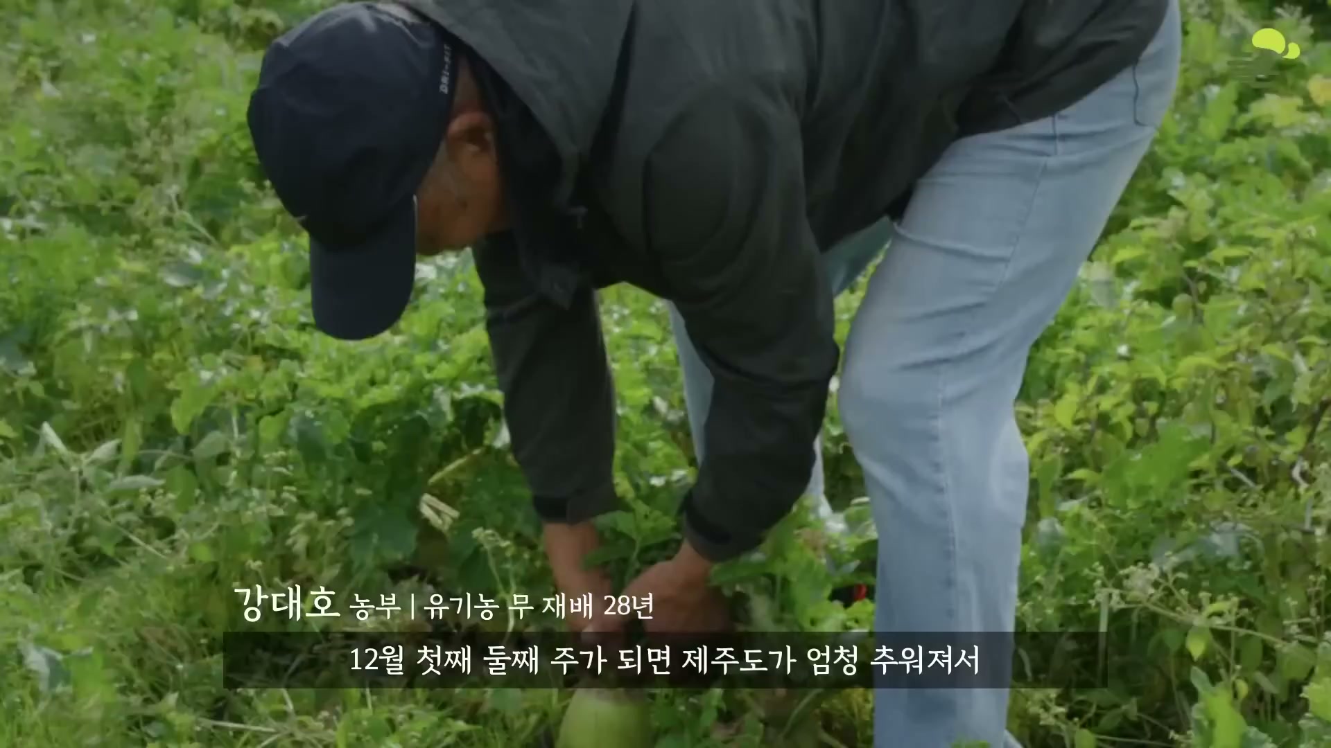 Snapshot at 4091.79s