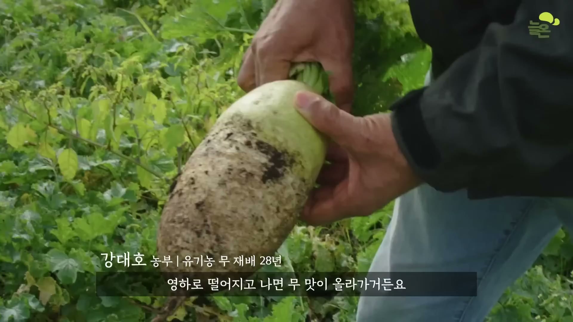 Snapshot at 4095.83s