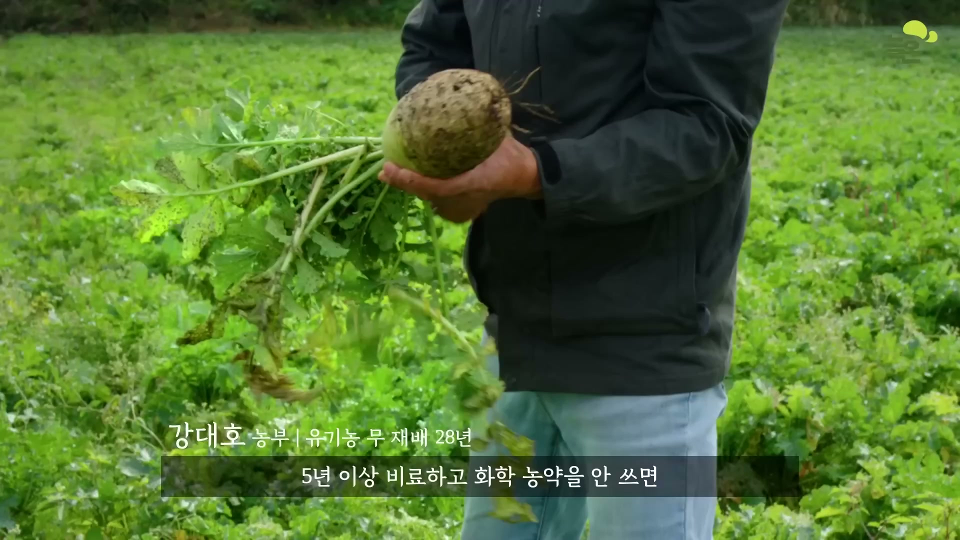 Snapshot at 4098.09s