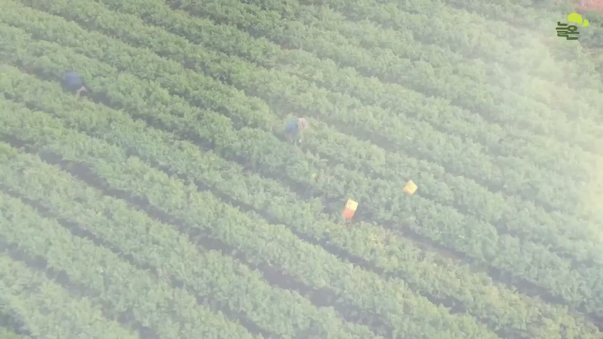 Snapshot at 4121.82s