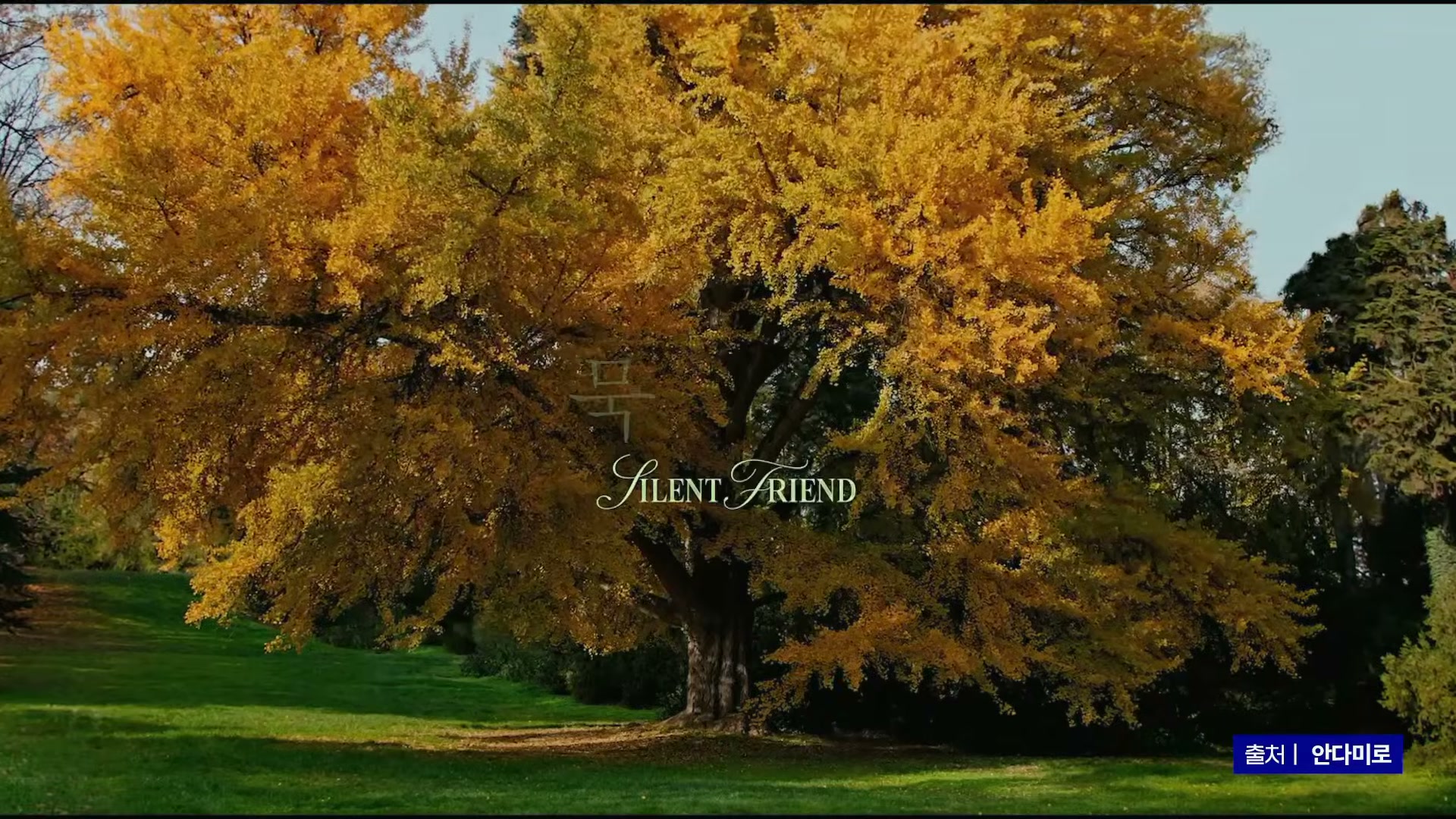 Snapshot at 10325.9s