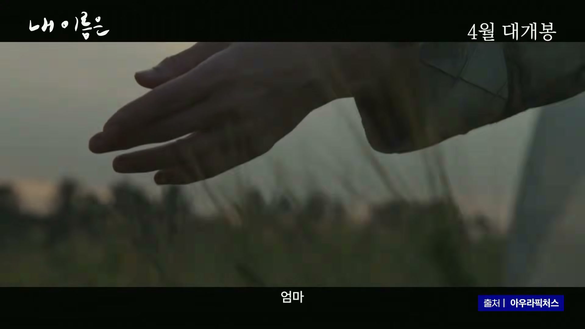 Snapshot at 10646.4s